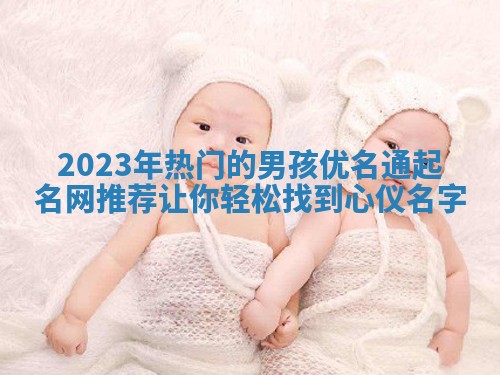 2023年热门的男孩优名通起名网推荐让你轻松找到心仪名字