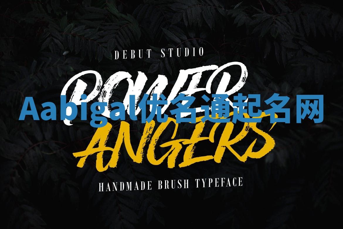 Aabigal优名通起名网