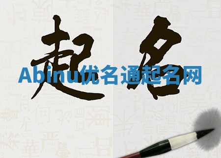 Abinu优名通起名网