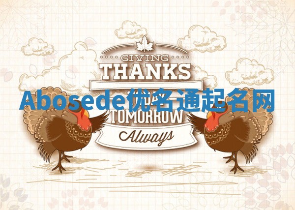 Abosede优名通起名网