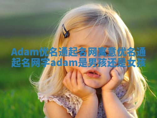 Adam优名通起名网寓意 优名通起名网字adam是男孩还是女孩
