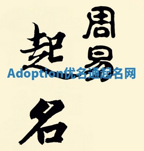 Adoption优名通起名网