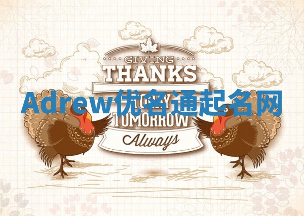 Adrew优名通起名网