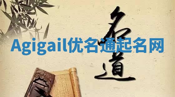 Agigail优名通起名网