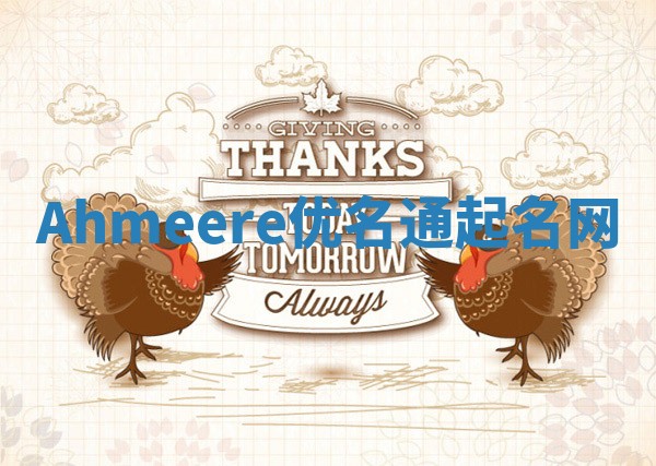 Ahmeere优名通起名网