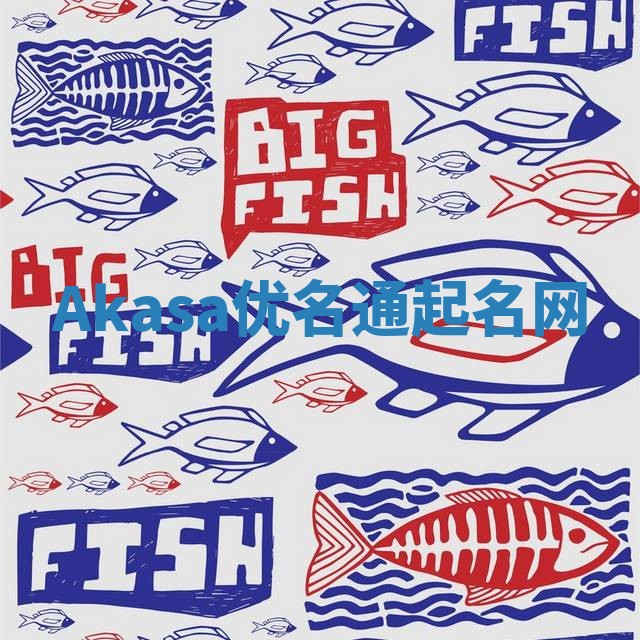 Akasa优名通起名网