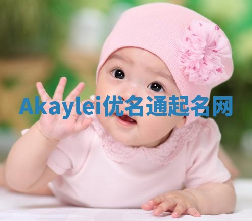 Akaylei优名通起名网