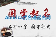 Aleirica优名通起名网