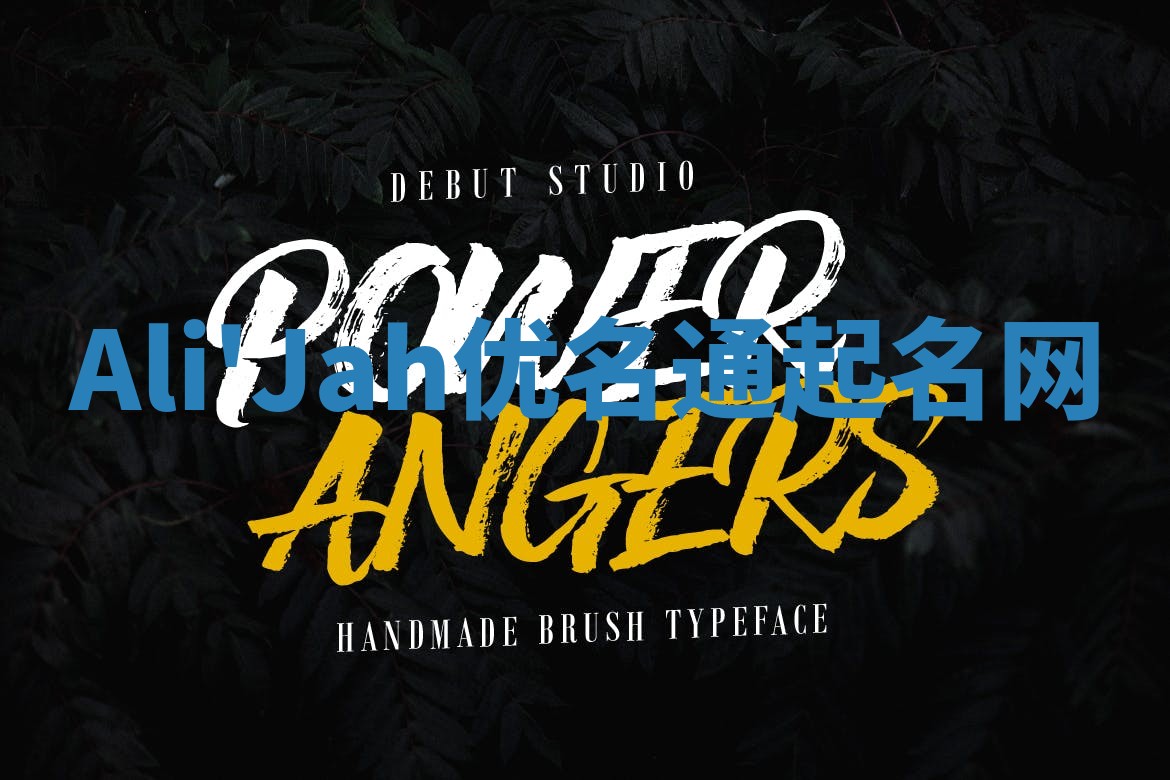 Ali'Jah优名通起名网 Ali'Jah优名通起名网