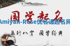 Amiyah-Rose优名通起名网