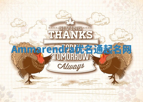 Ammarendra优名通起名网