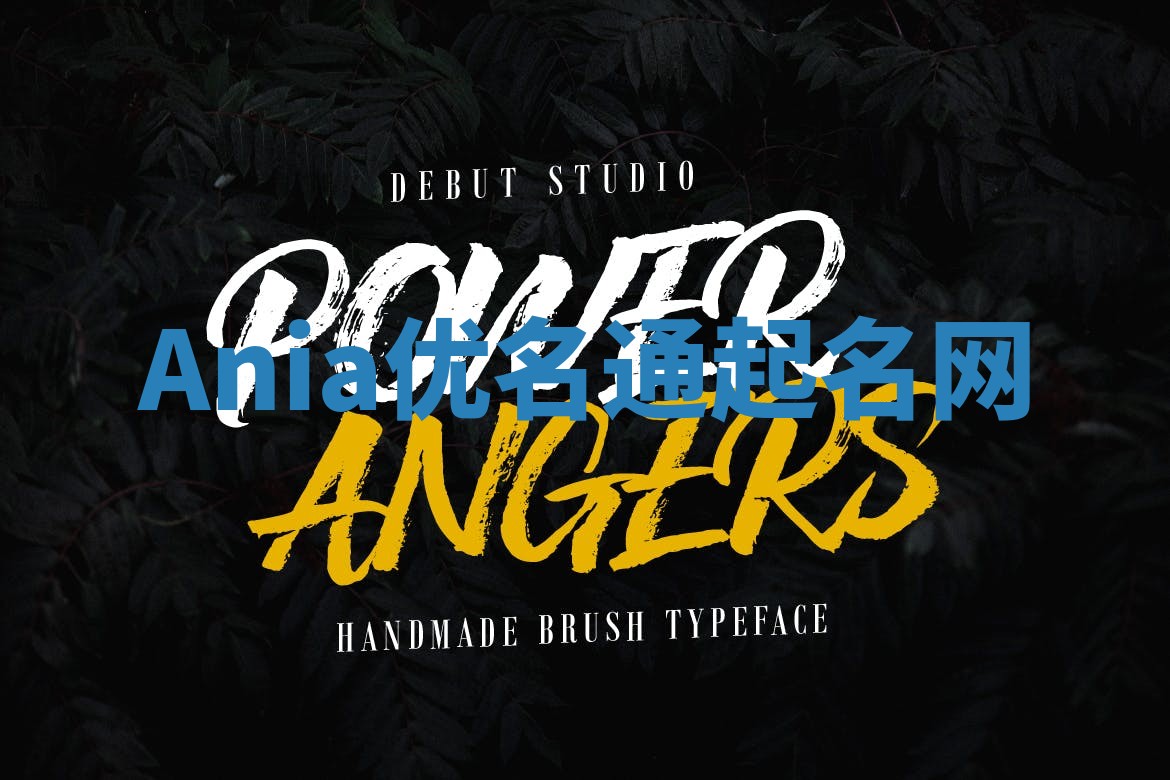 Ania优名通起名网