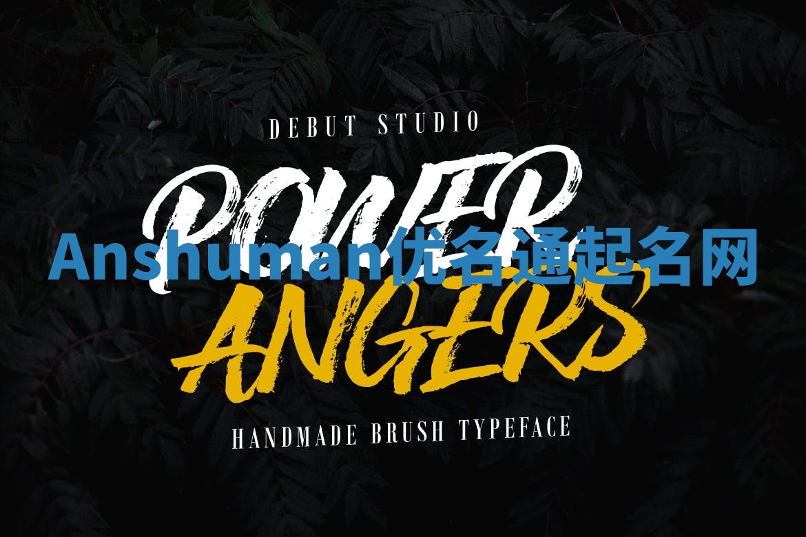 Anshuman优名通起名网