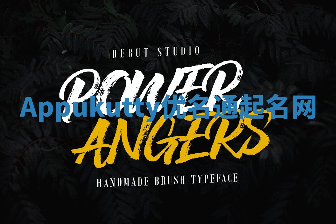 Appukutty优名通起名网 Appukutty优名通起名网