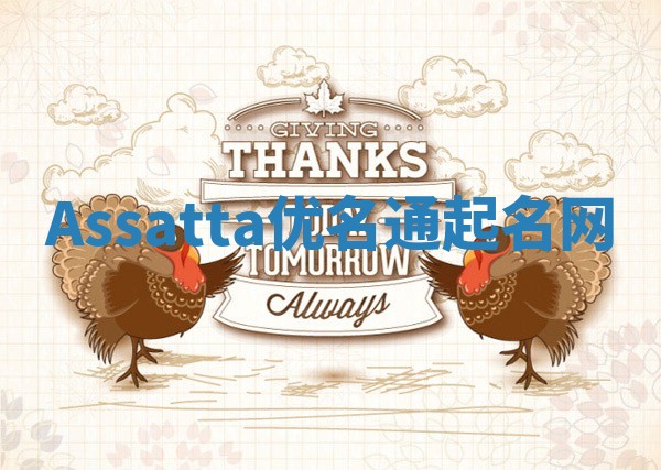 Assatta优名通起名网