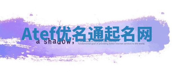 Atef优名通起名网