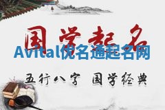 Avital优名通起名网