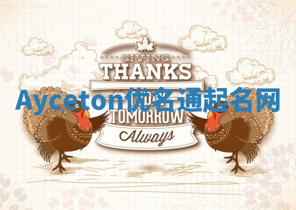 Ayceton优名通起名网