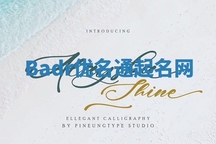 Badr优名通起名网