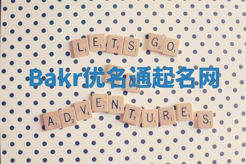 Bakr优名通起名网