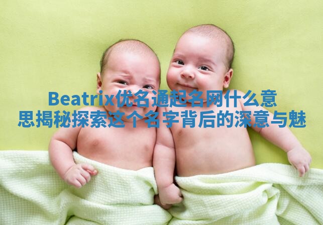 Beatrix优名通起名网什么意思揭秘 探索这个名字背后的深意与魅