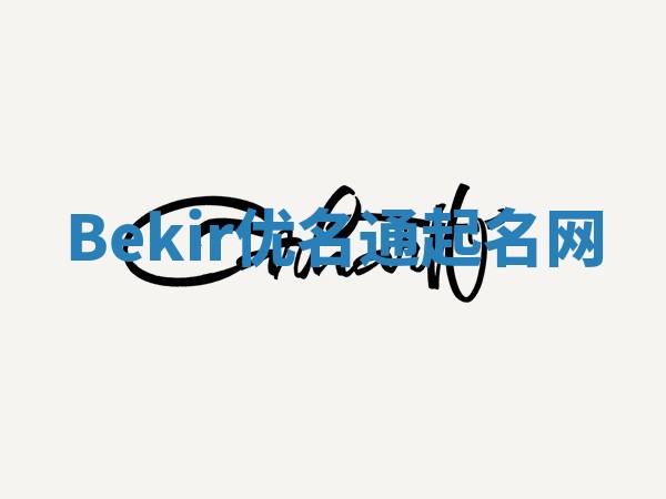 Bekir优名通起名网
