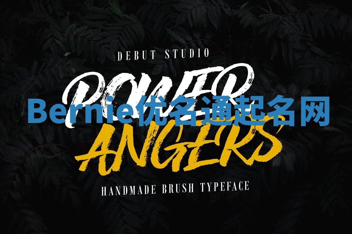 Bernie优名通起名网