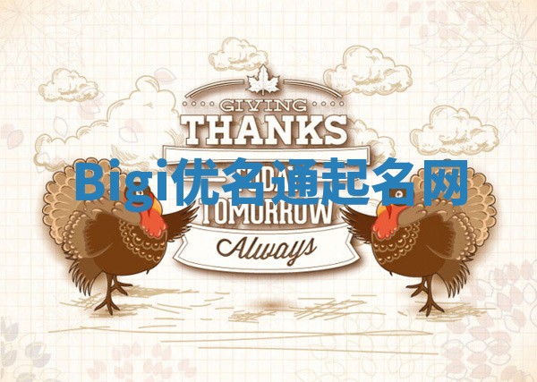 Bigi优名通起名网
