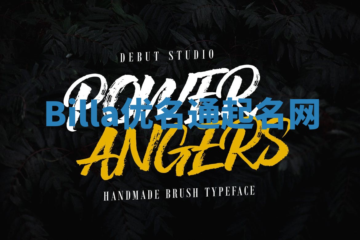 Billa优名通起名网