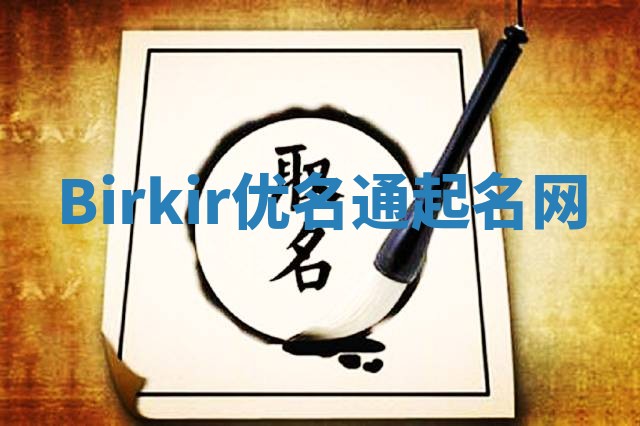 Birkir优名通起名网