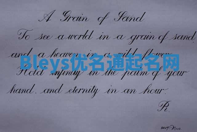 Bleys优名通起名网