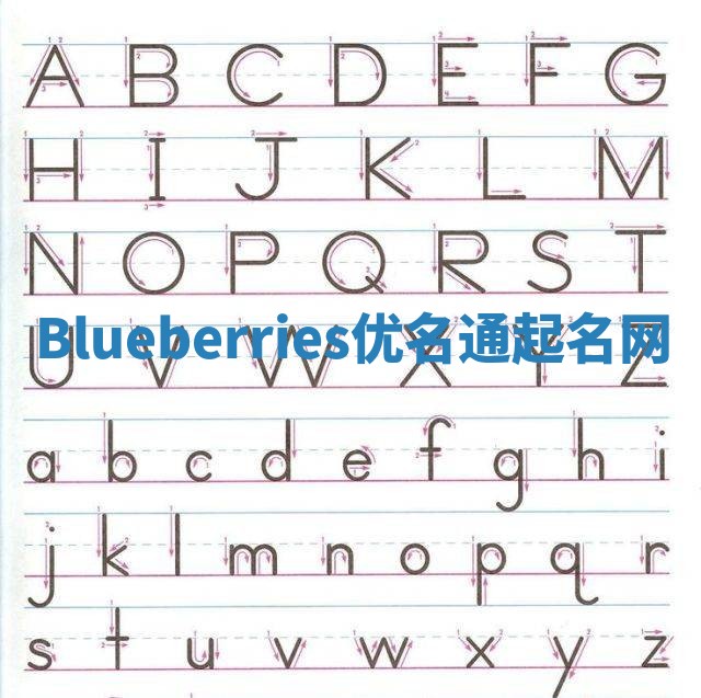 Blueberries优名通起名网