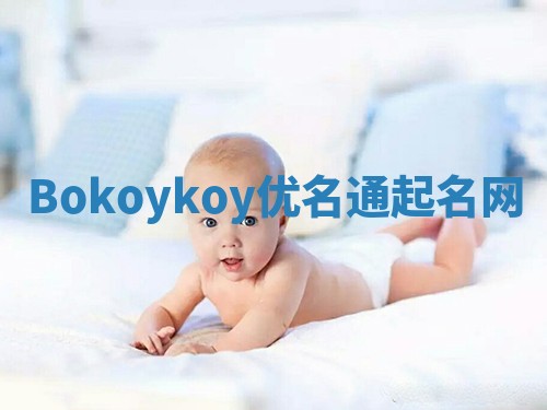 Bokoykoy优名通起名网