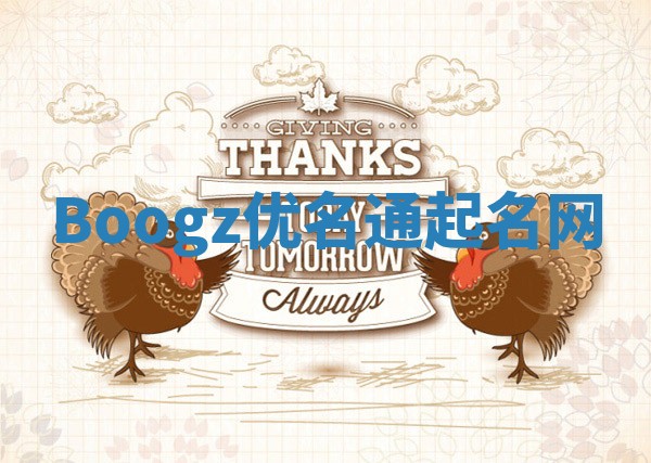 Boogz优名通起名网