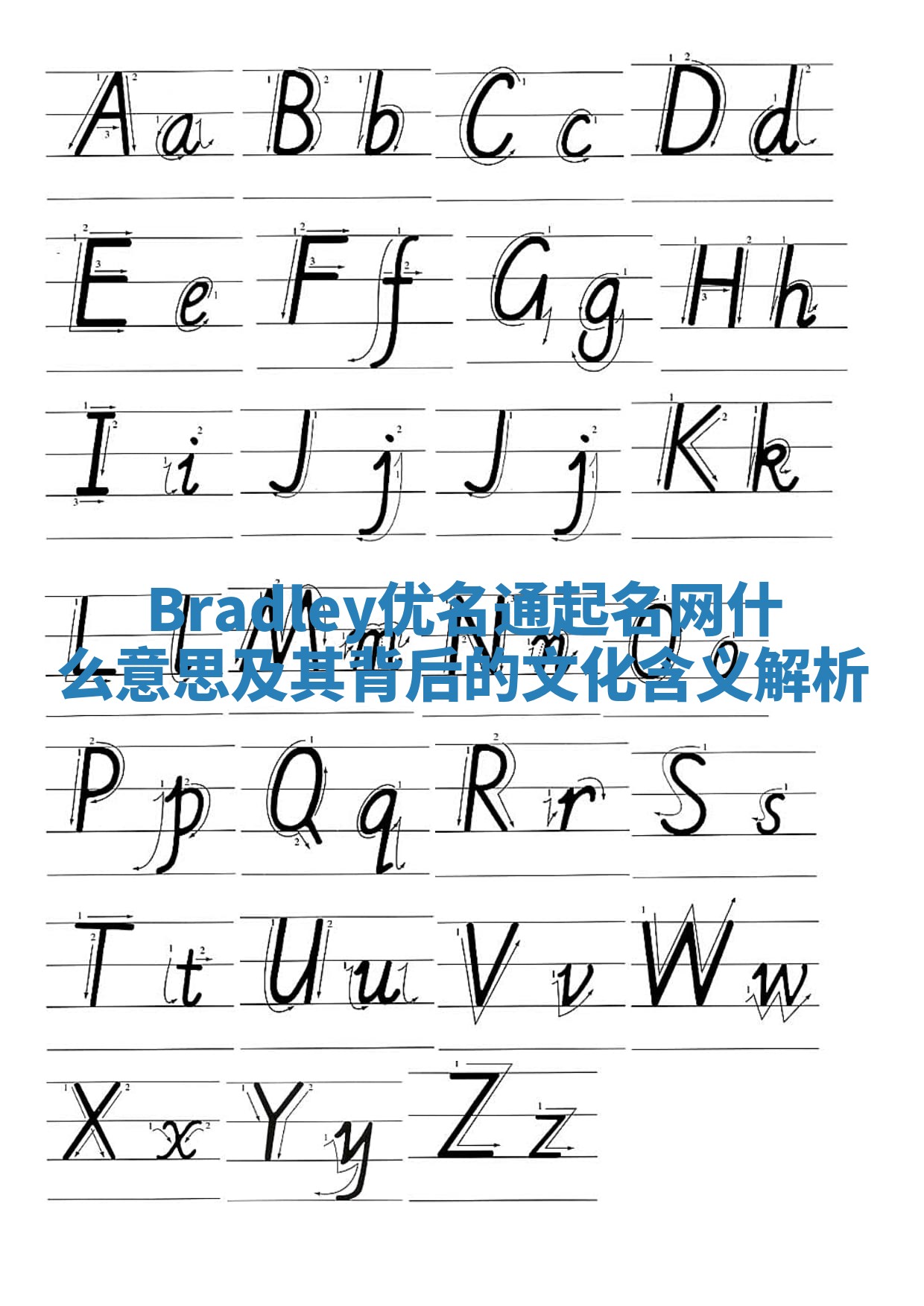 Bradley优名通起名网什么意思及其背后的文化含义解析