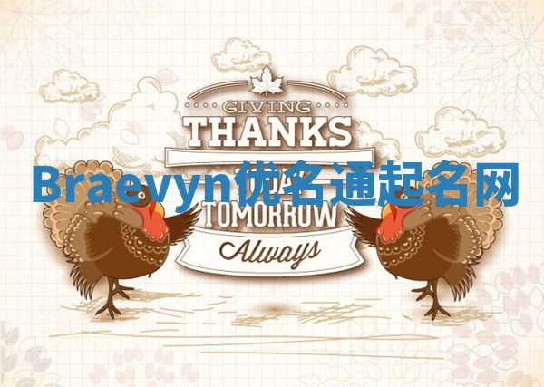 Braevyn优名通起名网