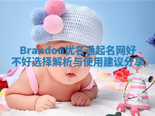 Brandon优名通起名网好不好选择解析与使用建议分享
