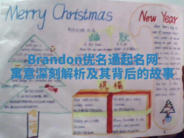 Brandon优名通起名网寓意深刻解析及其背后的故事
