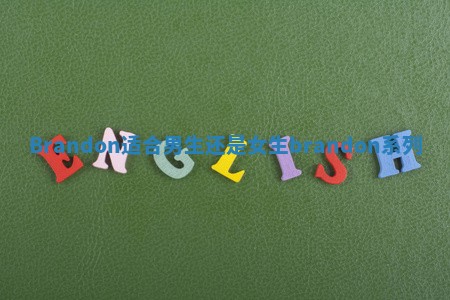 Brandon适合男生还是女生 brandon系列