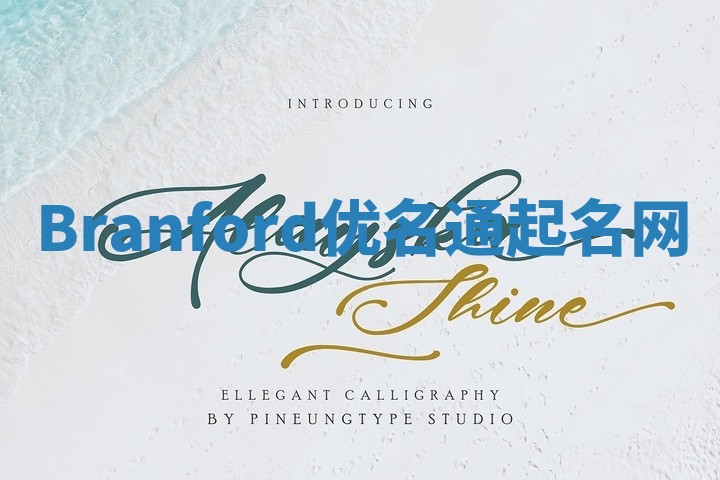 Branford优名通起名网