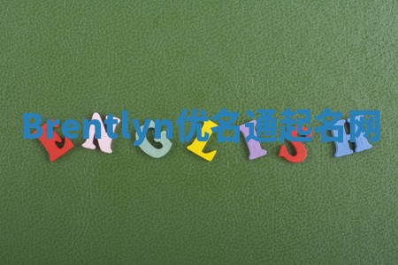 Brentlyn优名通起名网