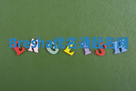 Bresha优名通起名网