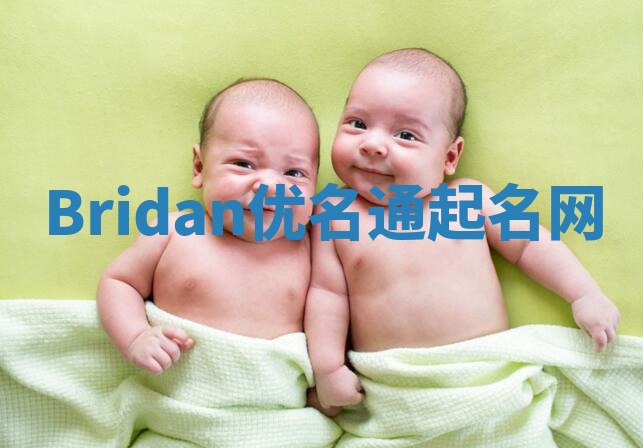 Bridan优名通起名网