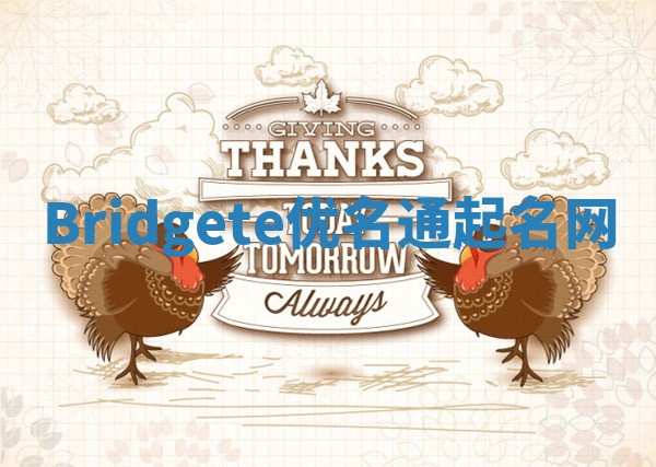 Bridgete优名通起名网