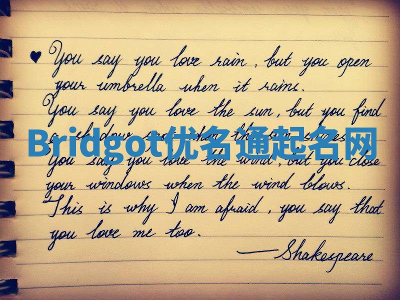 Bridgot优名通起名网