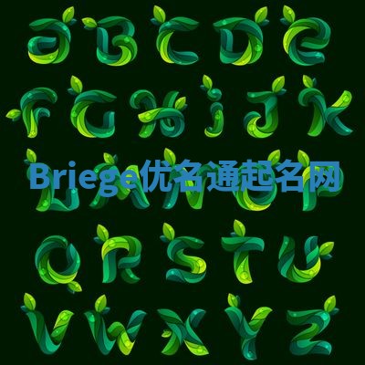 Briege优名通起名网