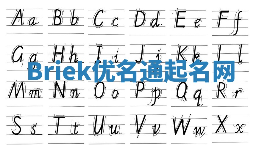 Briek优名通起名网