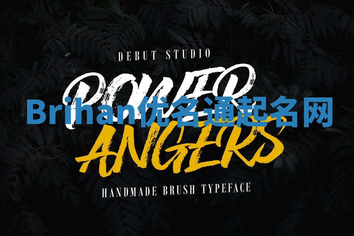 Brihan优名通起名网