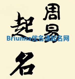Briunna优名通起名网
