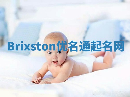 Brixston优名通起名网